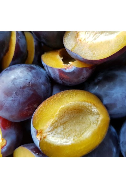 Слива Блек Джем в розрізі